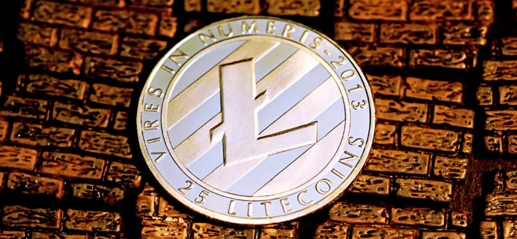 Cryptocurrency Litecoin Wallet