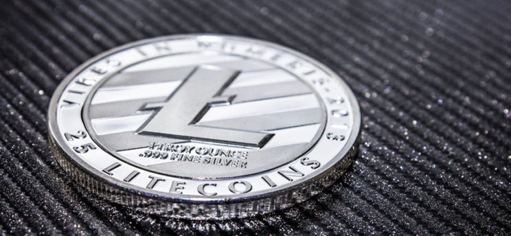 Dark Web Litecoin Wallet