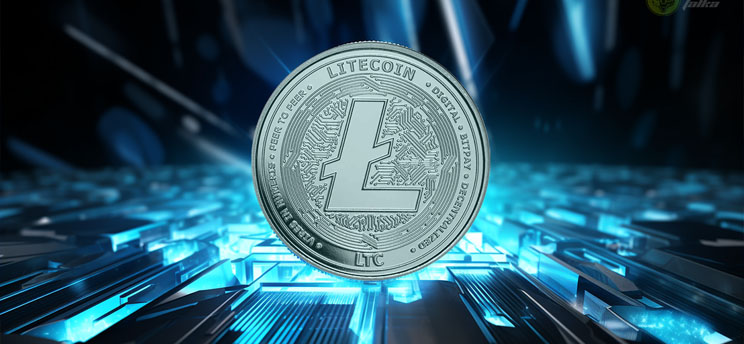Incognito Litecoin Wallet