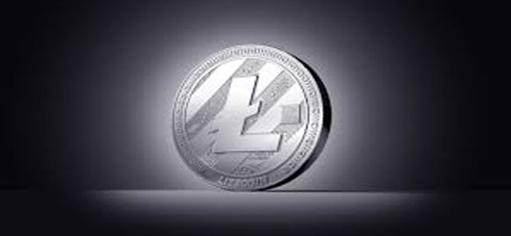 Lightweight Litecoin Wallet