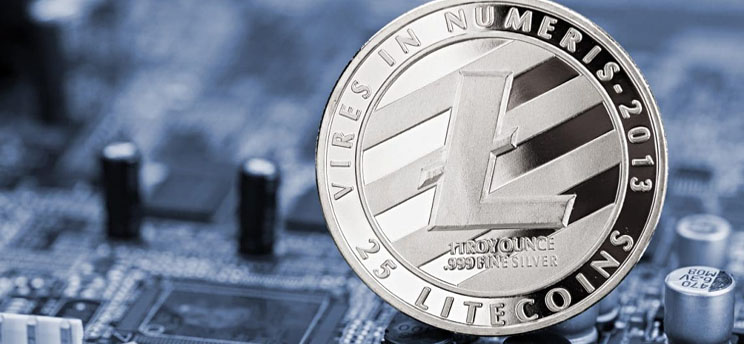 Litecoin Wallet Without ID