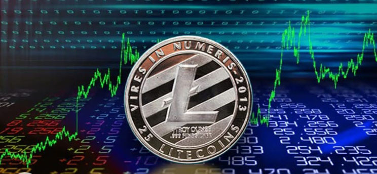Litecoin Wallet Without Providing Your Social Security Number