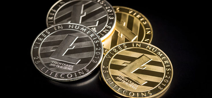 Personal Litecoin Wallet