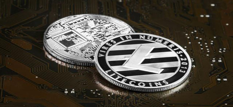 Random LTC Wallet