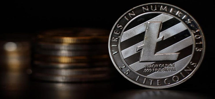 Litecoin Wallet Safe