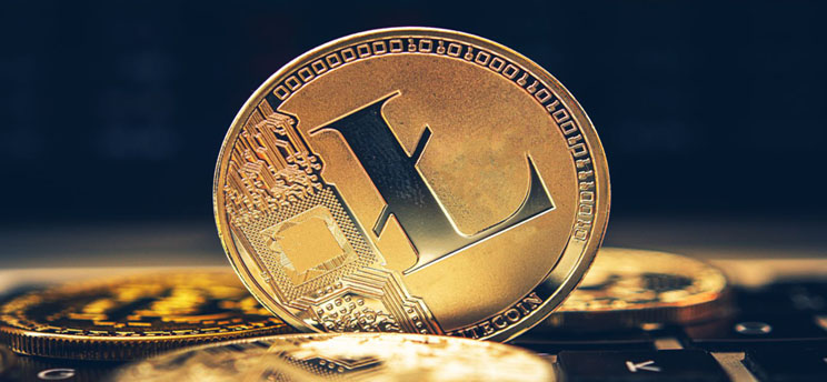 Introducing the Unknown Litecoin Wallet: Is it Safe to Use?